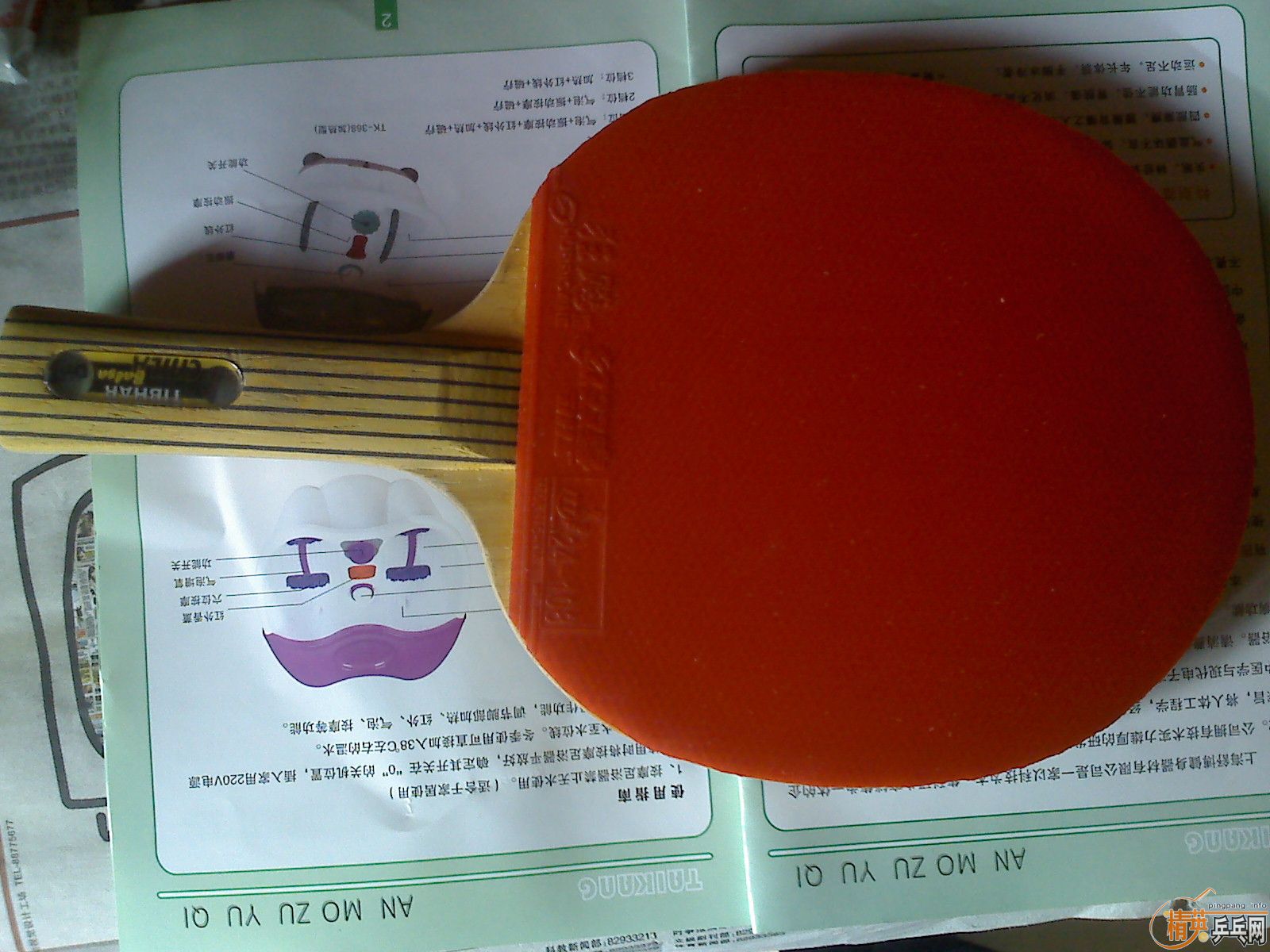 ������ͦ������