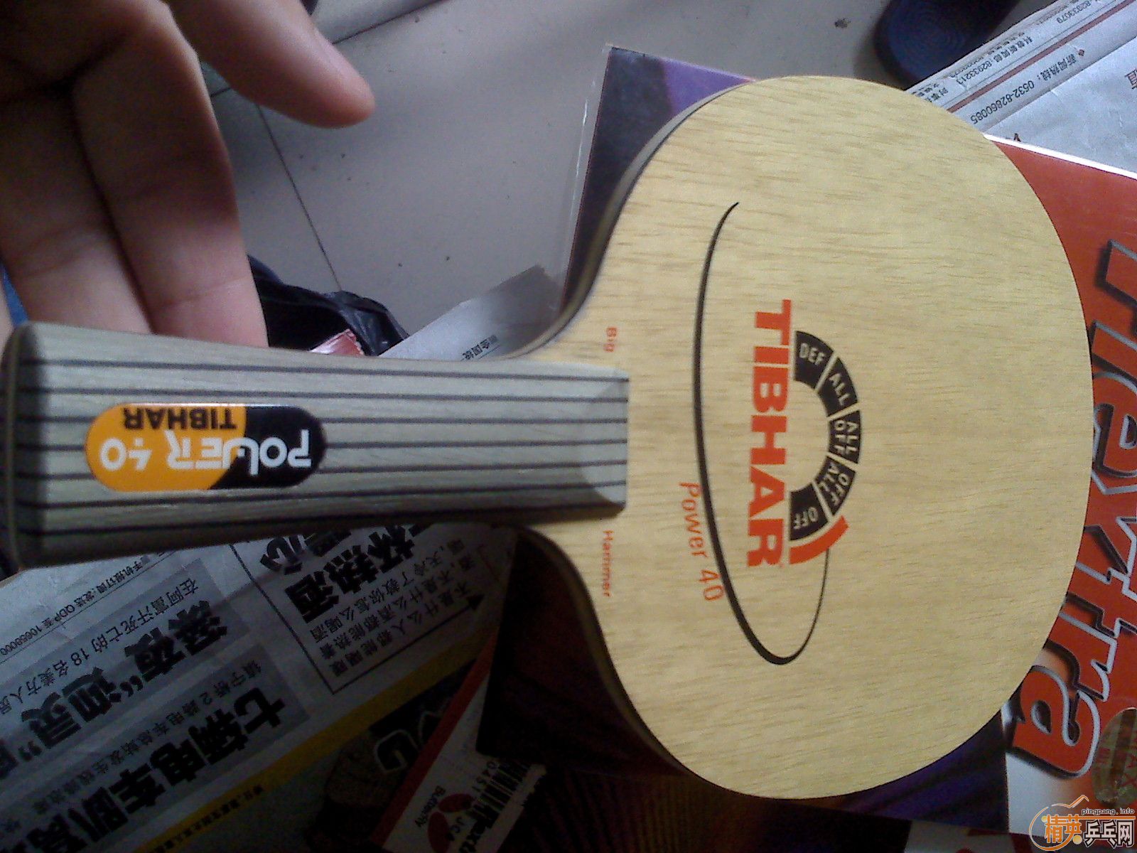 ������ͦ������