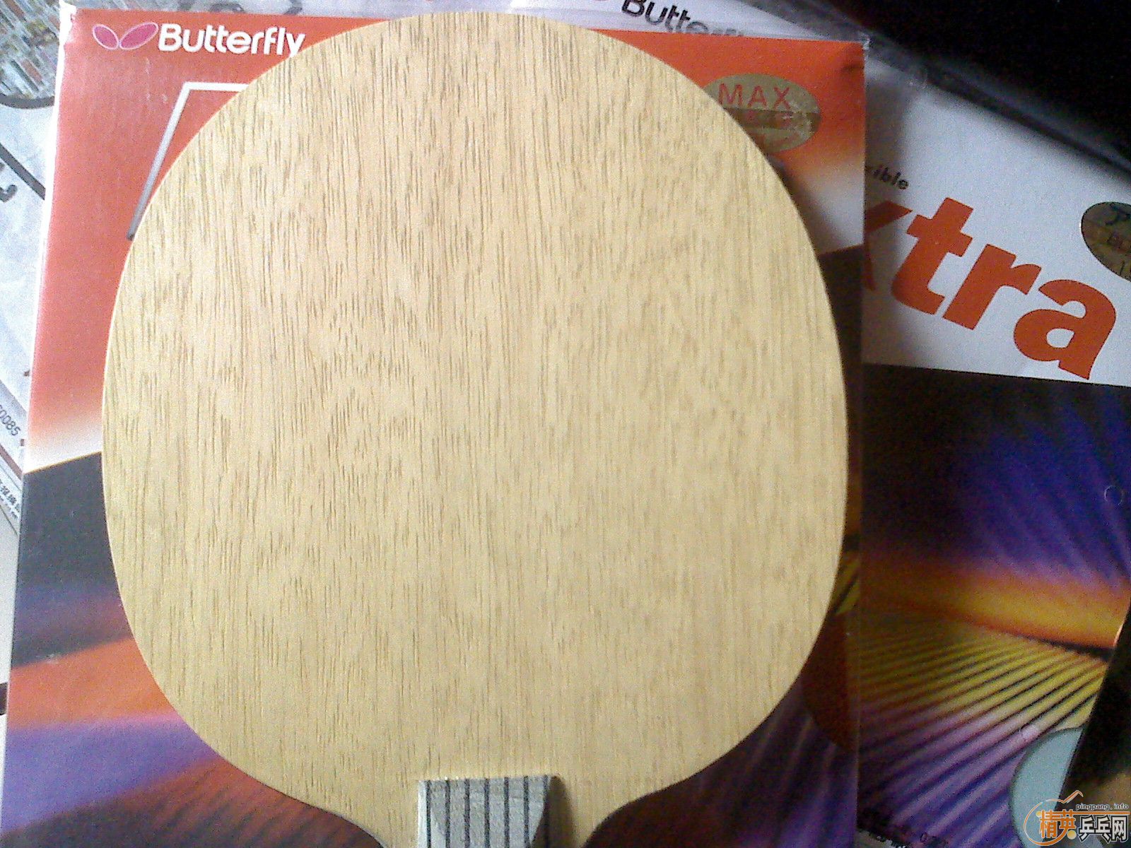 ������ͦ������