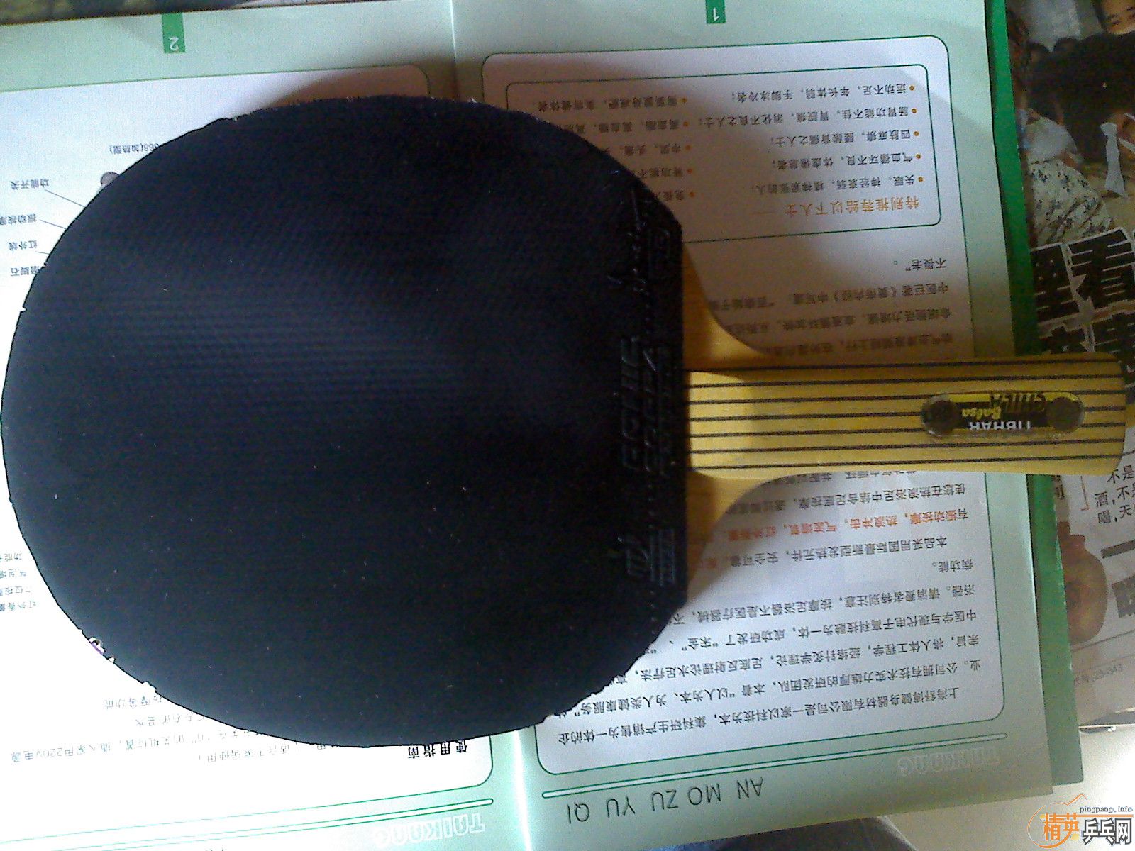 ������ͦ������