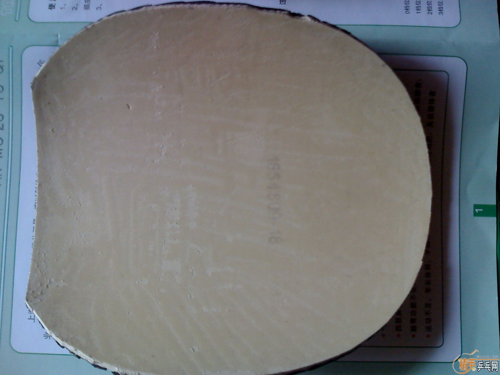 ������ͦ������