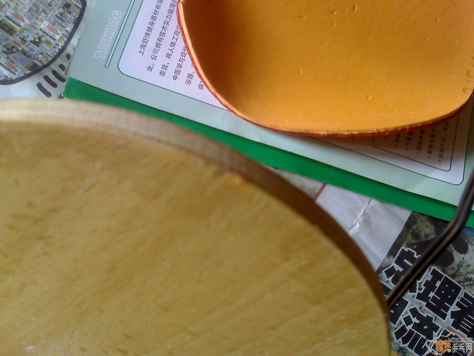 ������ͦ������