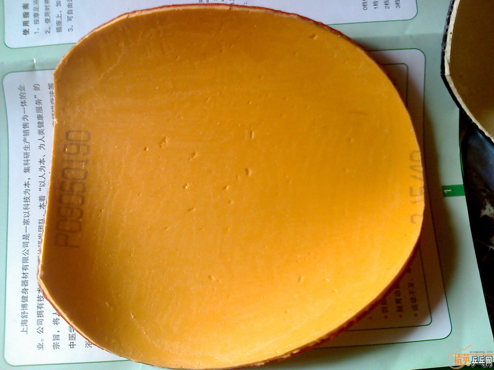 ������ͦ������