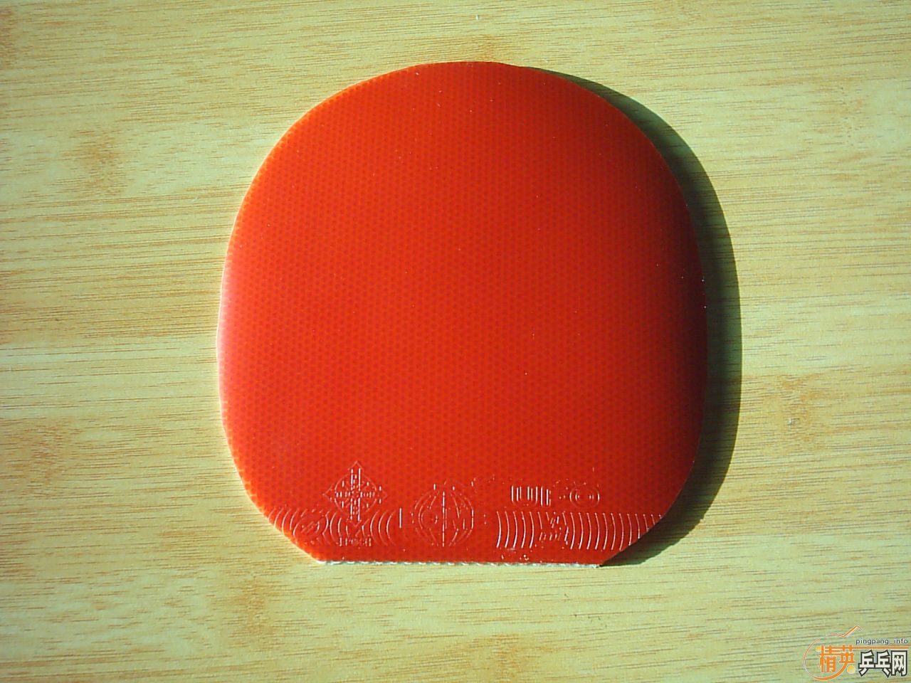 �հ�--------------YEO