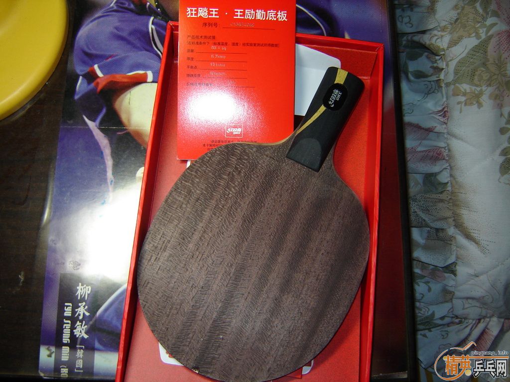 08 ˫�����ۿ���