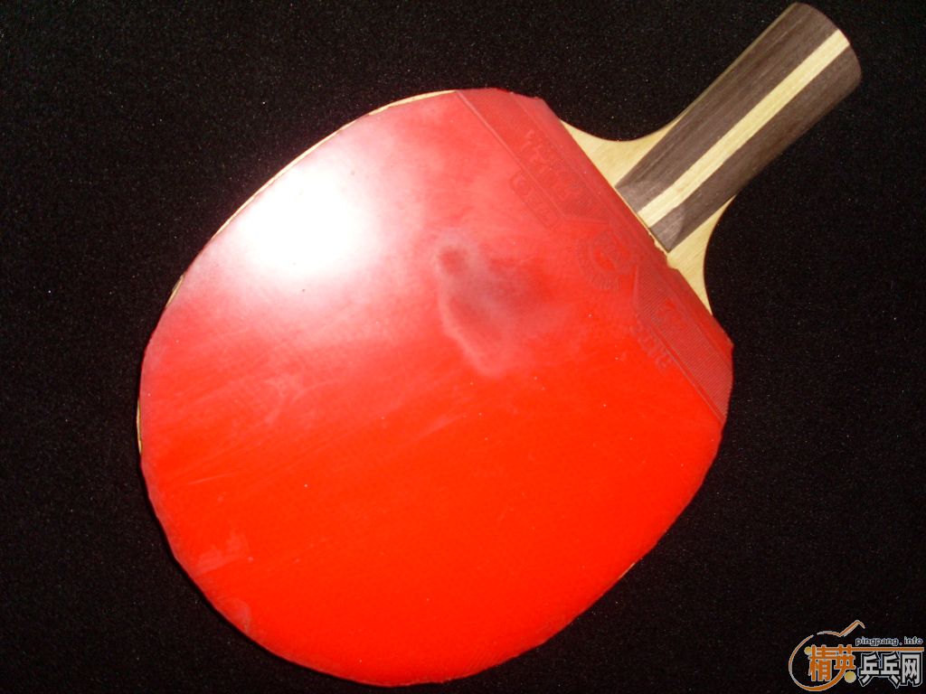 ������ľ��