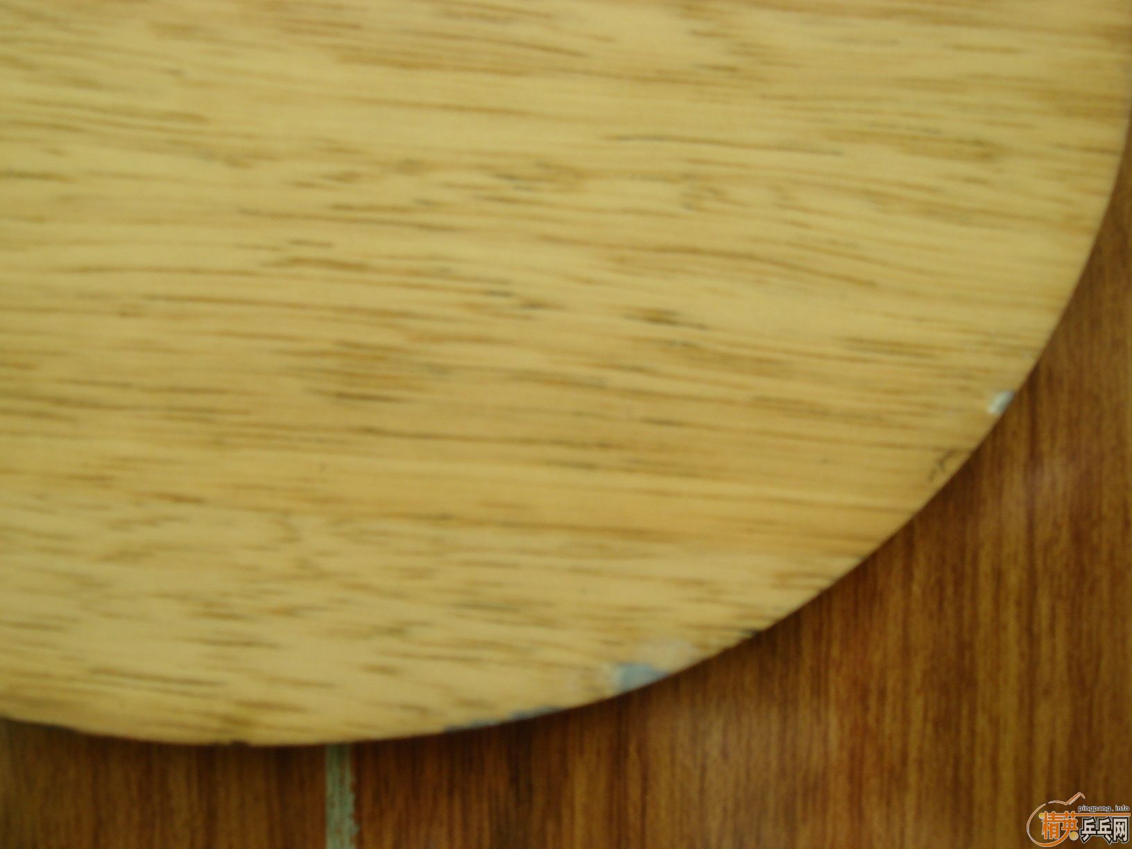 [ԭ��]���� �� ��ţǡ����ףң�