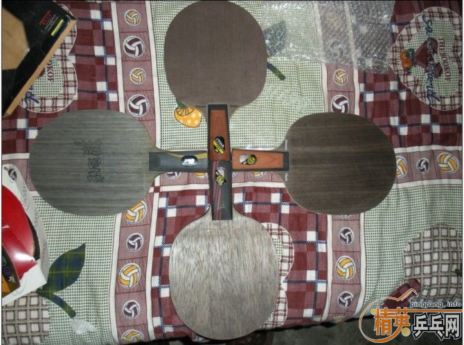 ��λ����ע���ˣ�ƭ�ӡ��ּ̿������թʬ�ˣ��ֿ�ʼ���