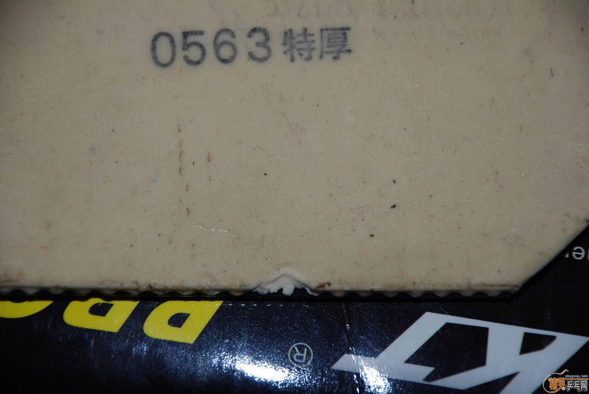 NITTAKU JO+�켫��֧��֧������