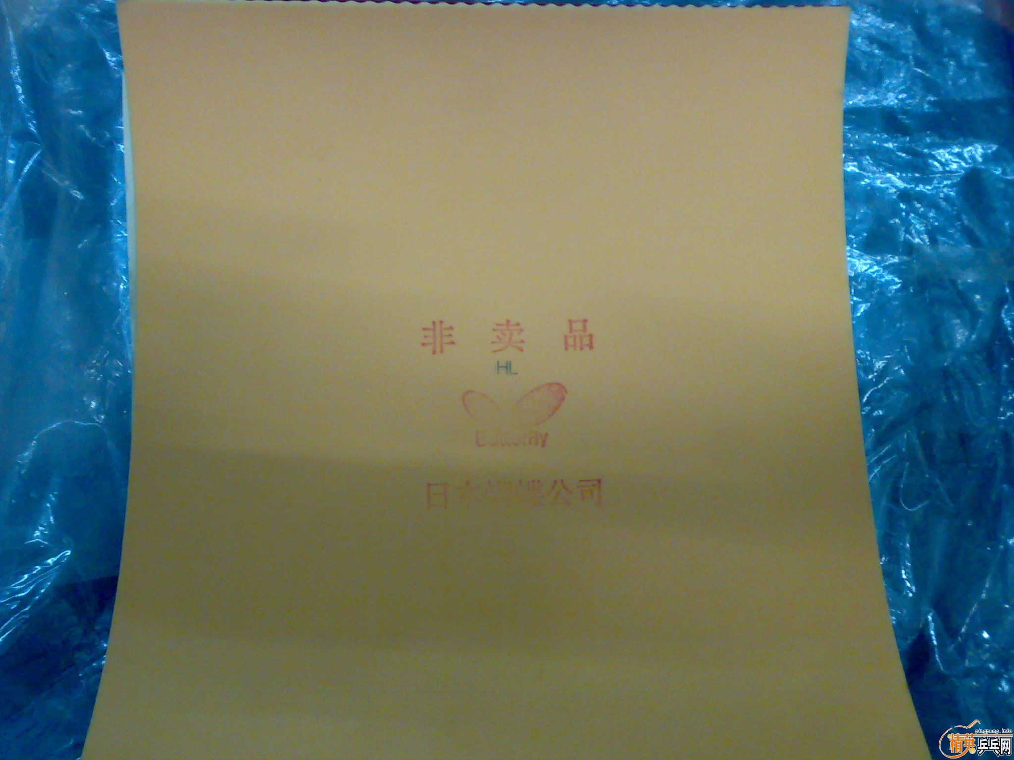 -----------����Ʒfx----------