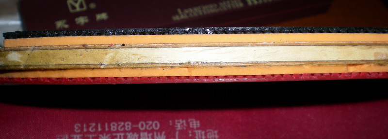 9.8�µ�����̼