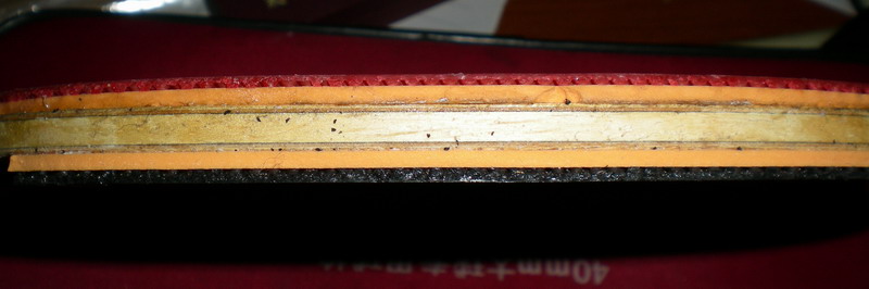 9.8�µ�����̼