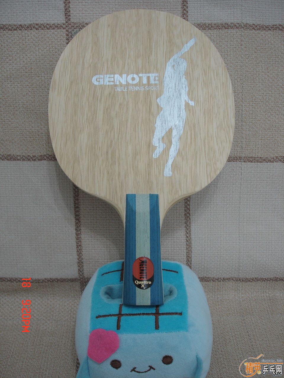 ��¡̩���Ļ��ɴ������������İ���