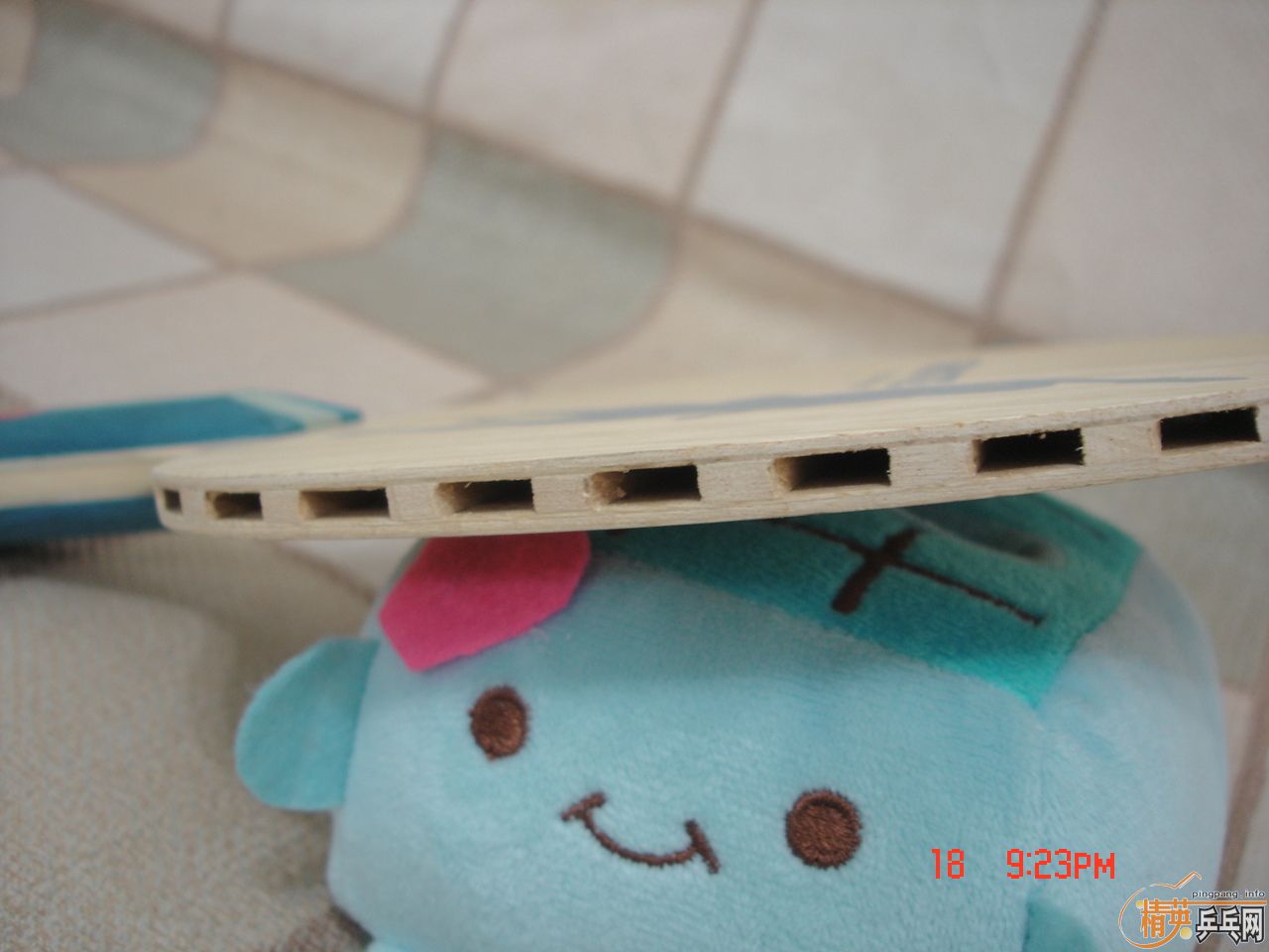 ��¡̩���Ļ��ɴ������������İ���