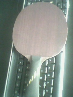 �����������������װ壨10�·ݶ����ģ�