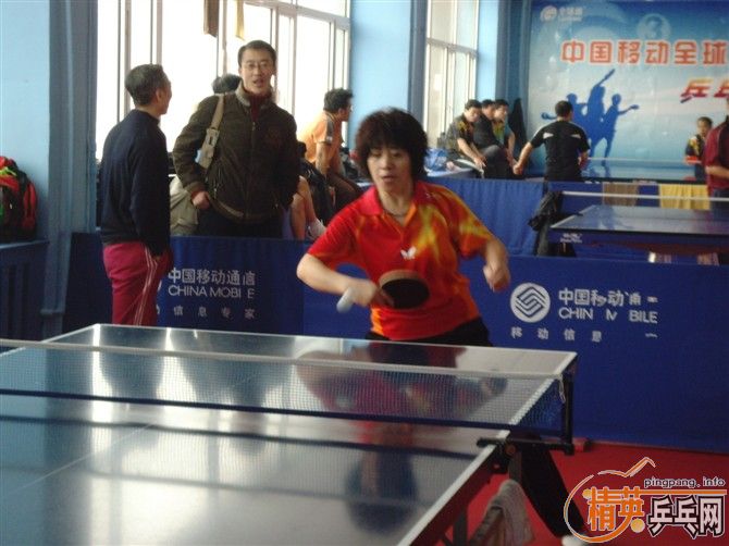 11��15�վ�Ӣ������ƹ������ֲ�����ͼƬإ��---������