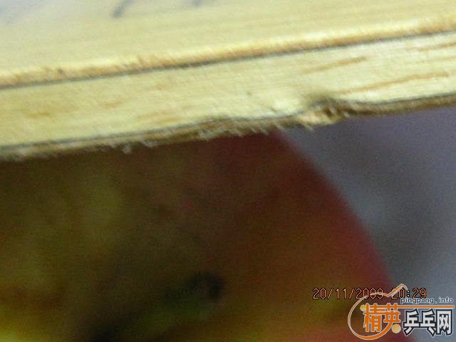 [ԭ��]����������̼ ������Ȥ�Ľ���