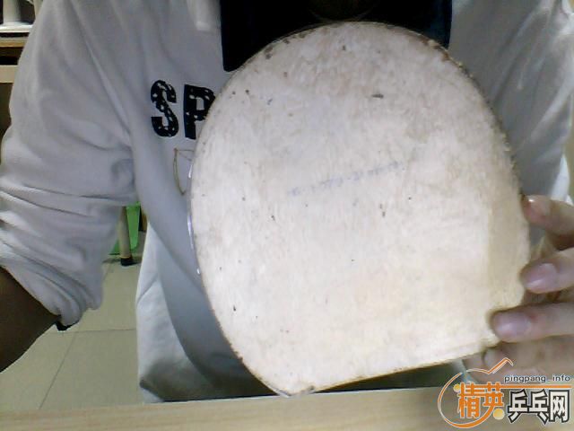 �����ӣ���������������С��RUTIS����,����~~