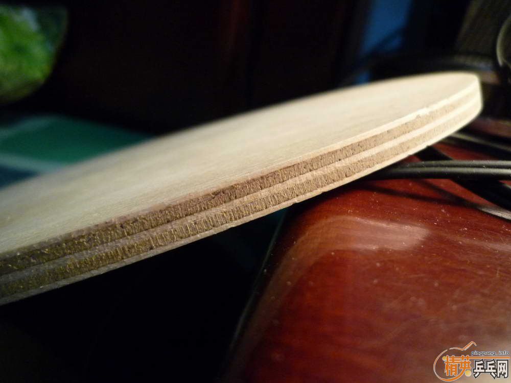 ����������壺joola�����������µ�