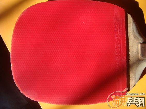 Ӧ����֮Լ ����������ע95�� Ʒ��� ҧ��  ������ �۸�����