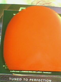 ���˳��׽�