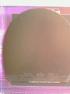 ���˳��׽�