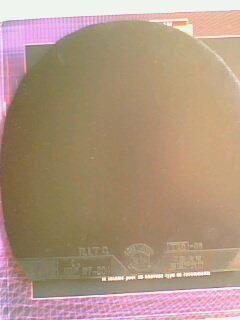 ���˳��׽�