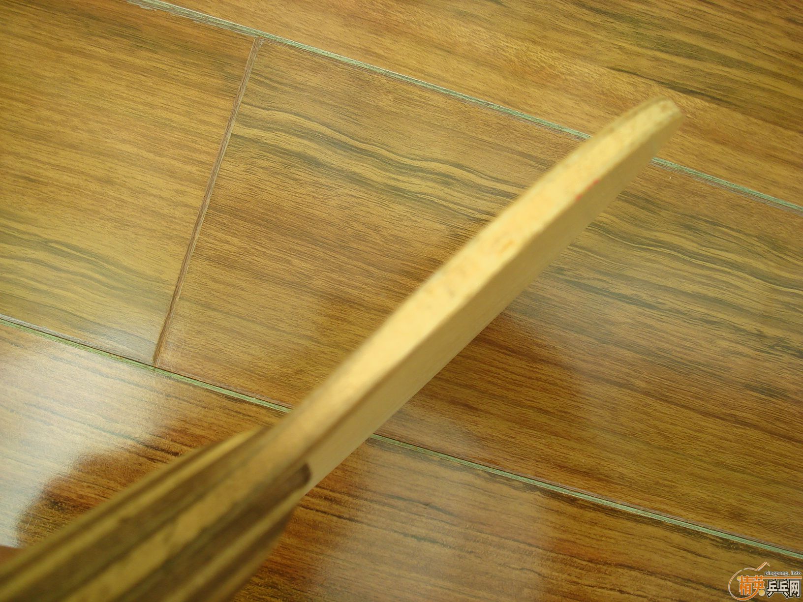 [ԭ��]�������ƿƱ���  AN