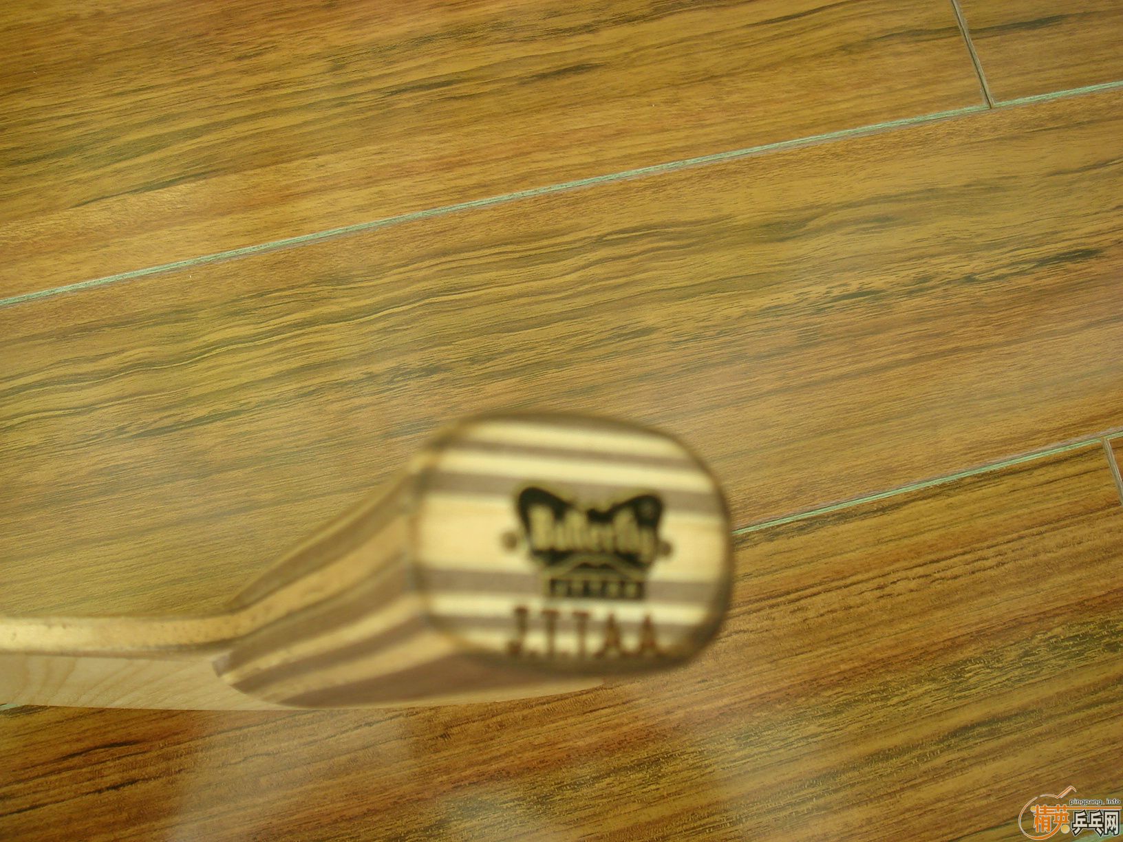 [ԭ��]�������ƿƱ���  AN