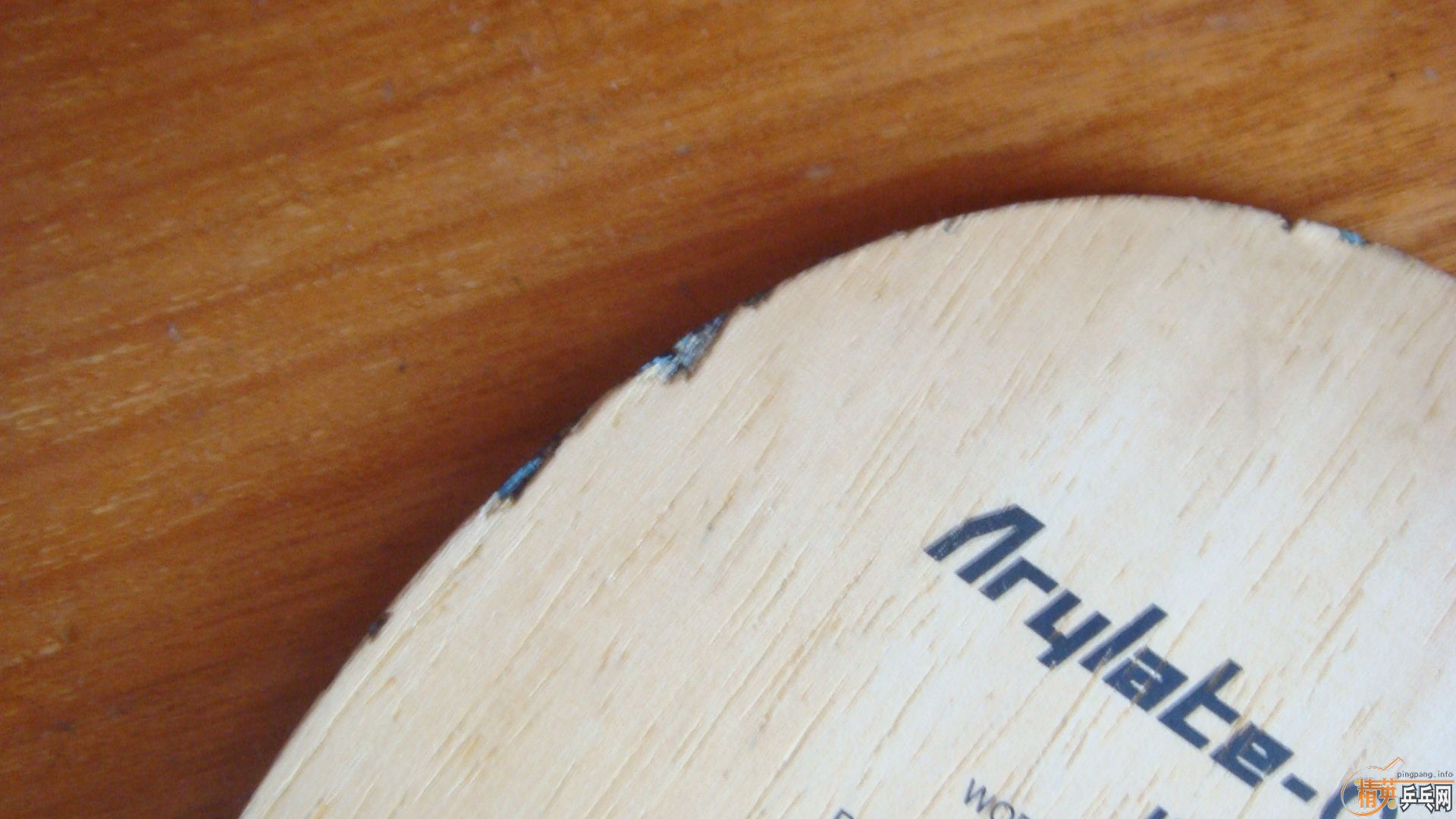 �Ϻ���������