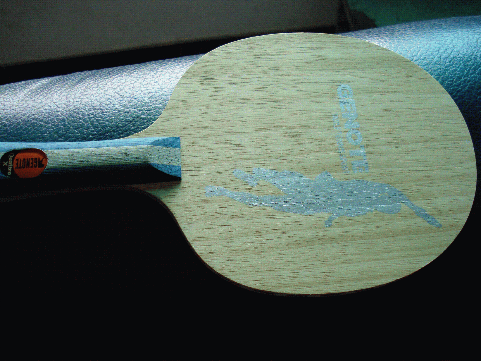 ��¡̩����