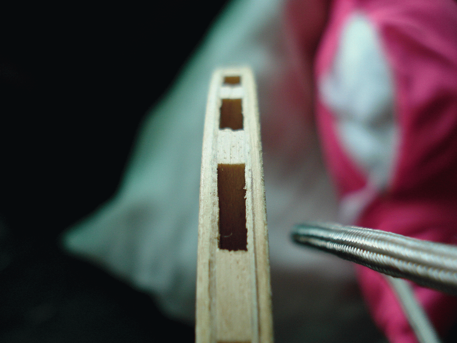 ��¡̩����