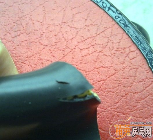 �������ͣ�JO��EL��100       90��Ʒ�಻��