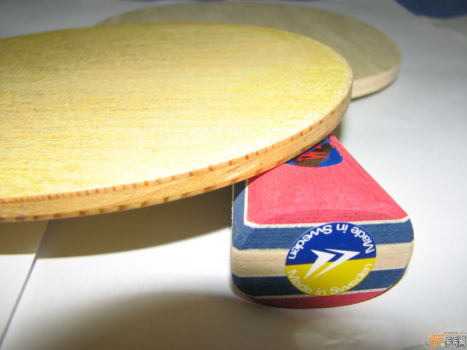 ֧�������׳�������һ���˵�H-WL FL160���ղص�banda��ţ��FL 260������