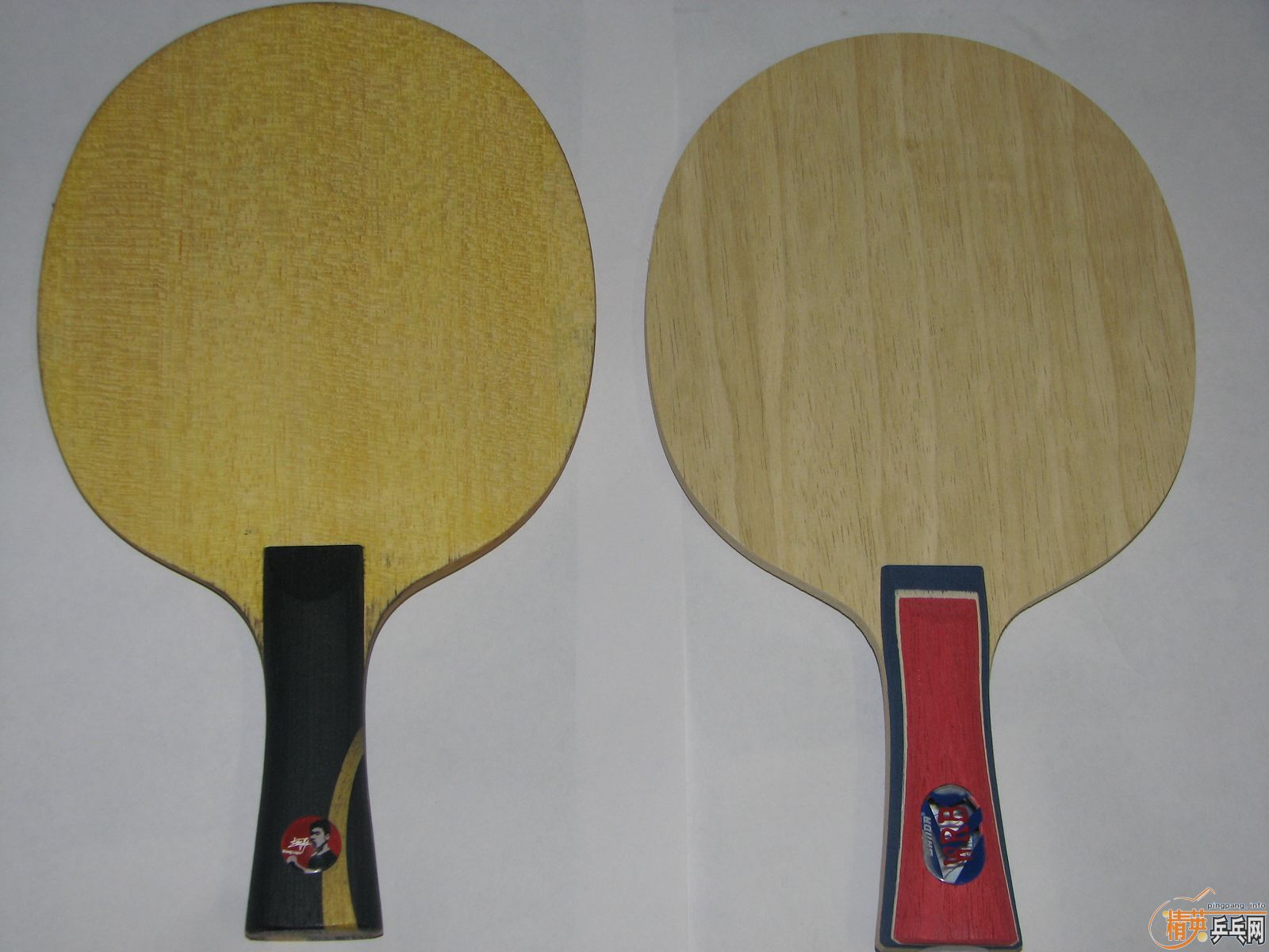 ֧�������׳�������һ���˵�H-WL FL160���ղص�banda��ţ��FL 260������