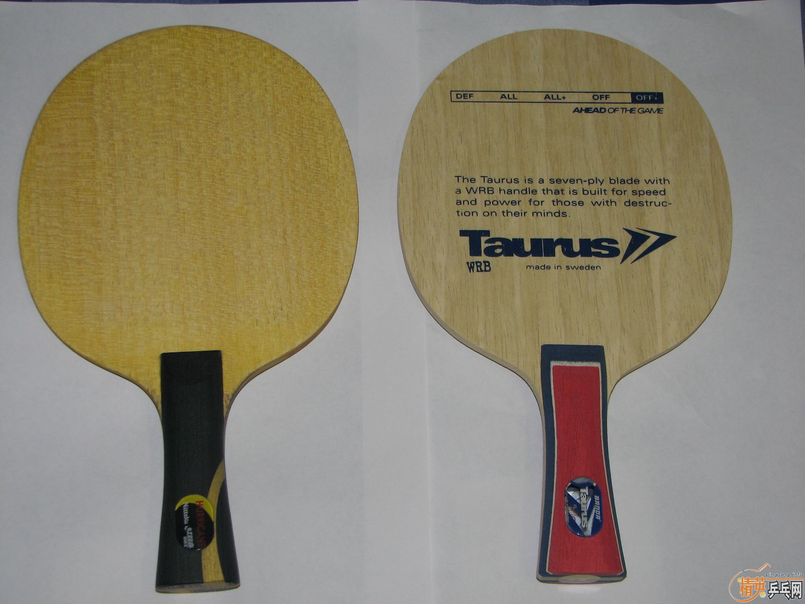 ֧�������׳�������һ���˵�H-WL FL160���ղص�banda��ţ��FL 260������