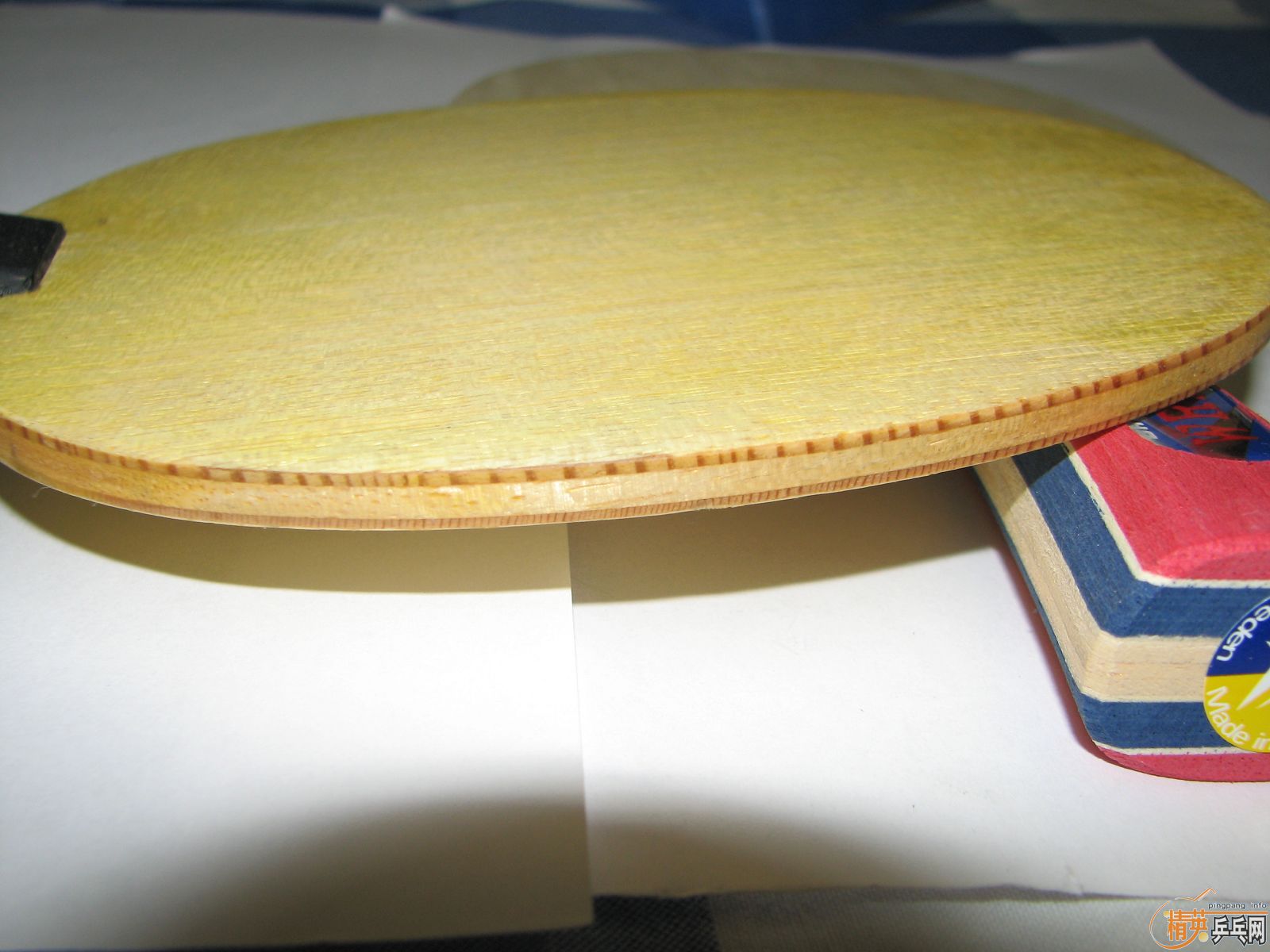 ֧�������׳�������һ���˵�H-WL FL160���ղص�banda��ţ��FL 260������