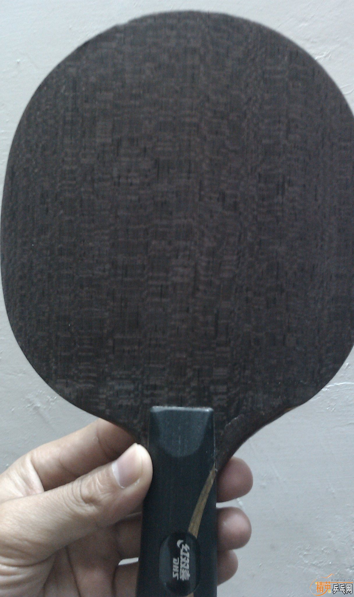 ֱ������