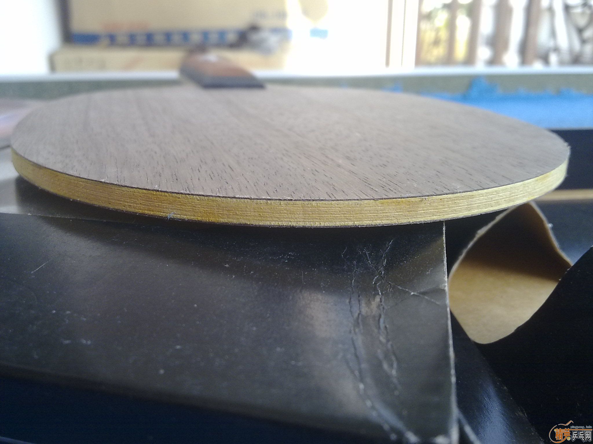 �������ղصİ���OC��������ɼͼ