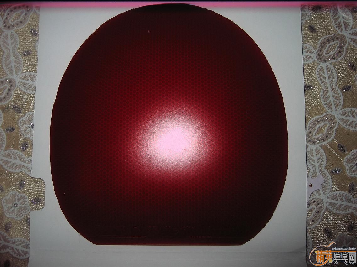 �������ɫ�׽���PALIO HK1997��palio �Ե�2046��butterfly tachifire D.