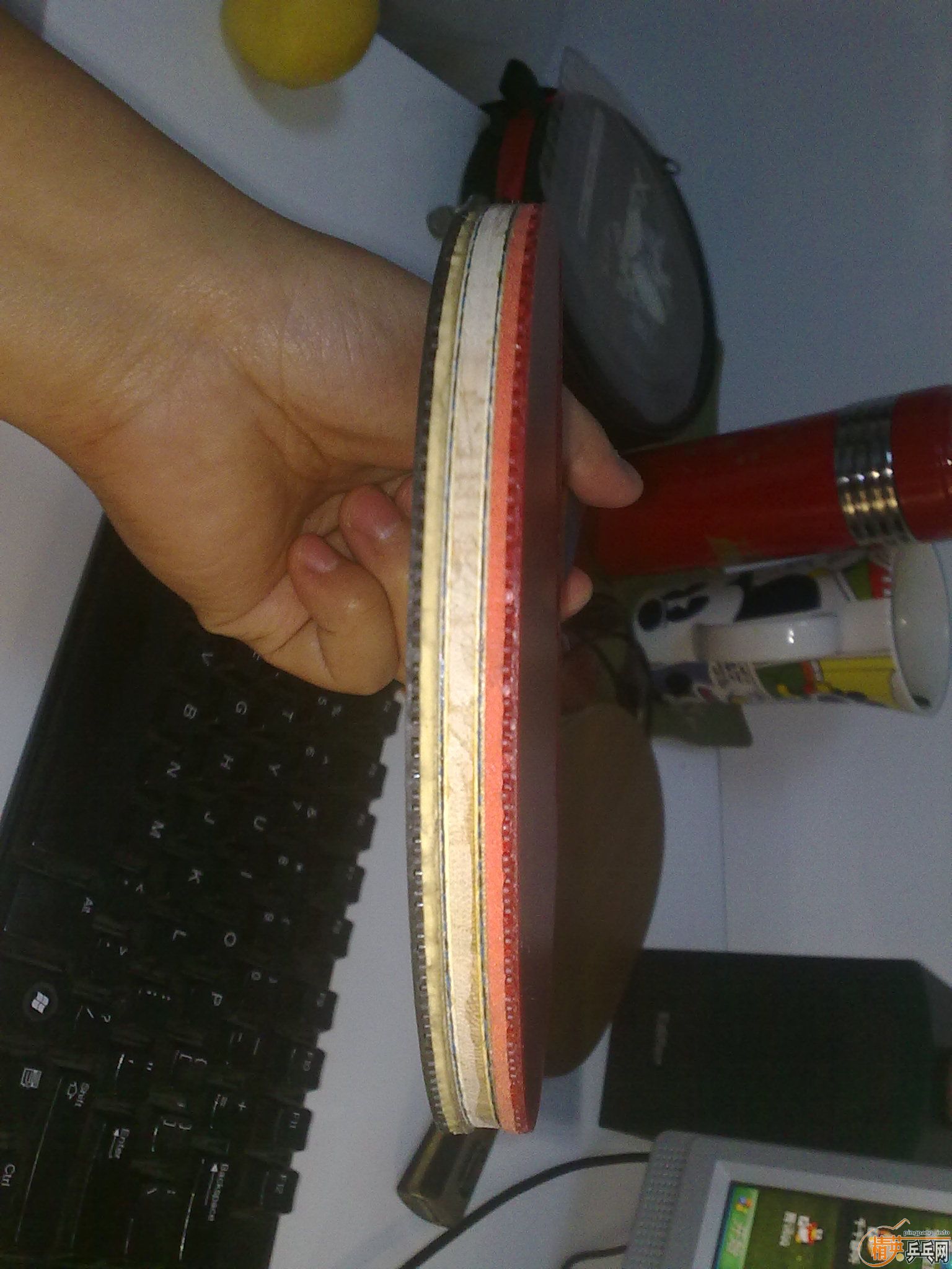 [����]����ͼƬ