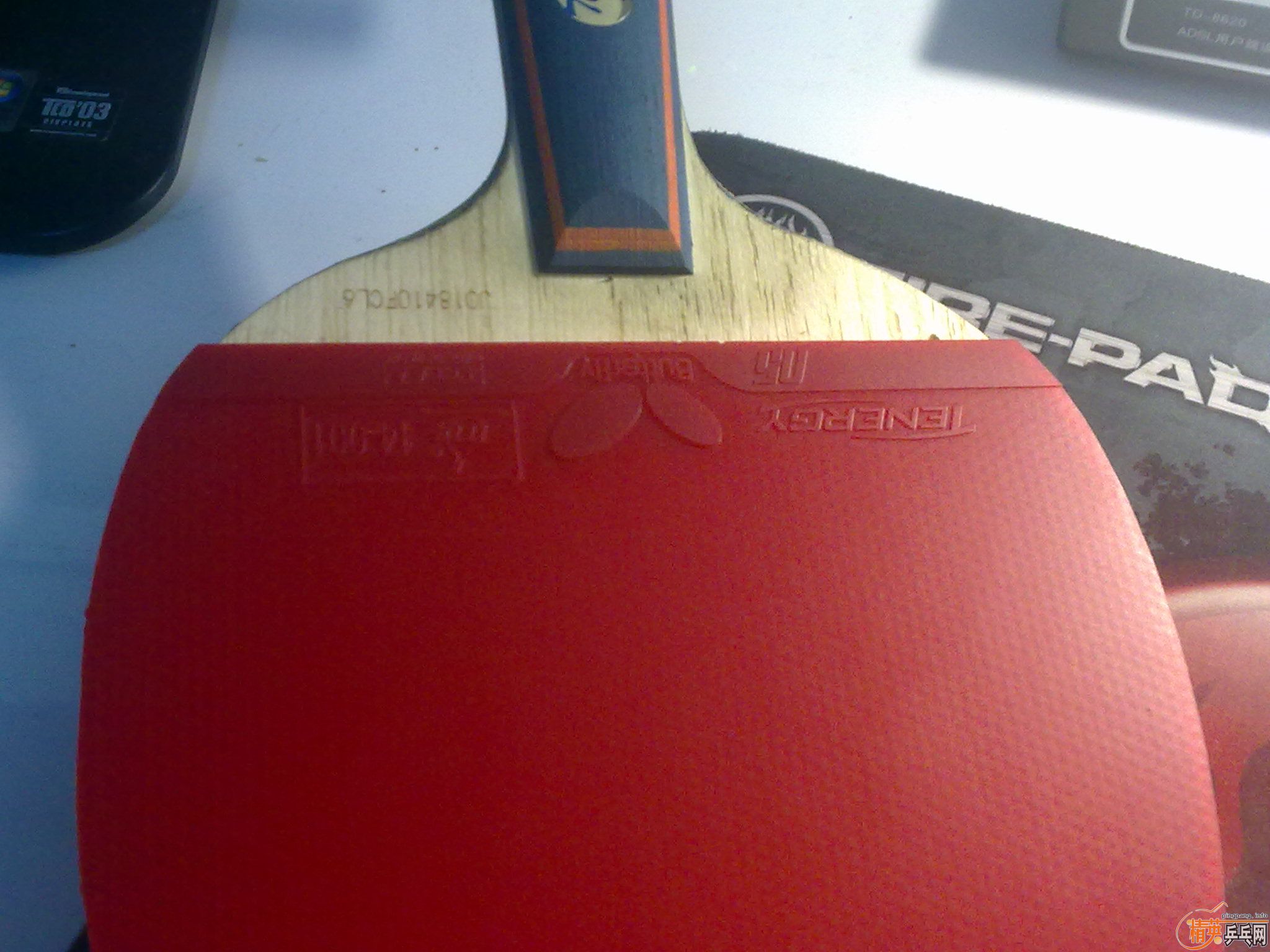 [����]����ͼƬ