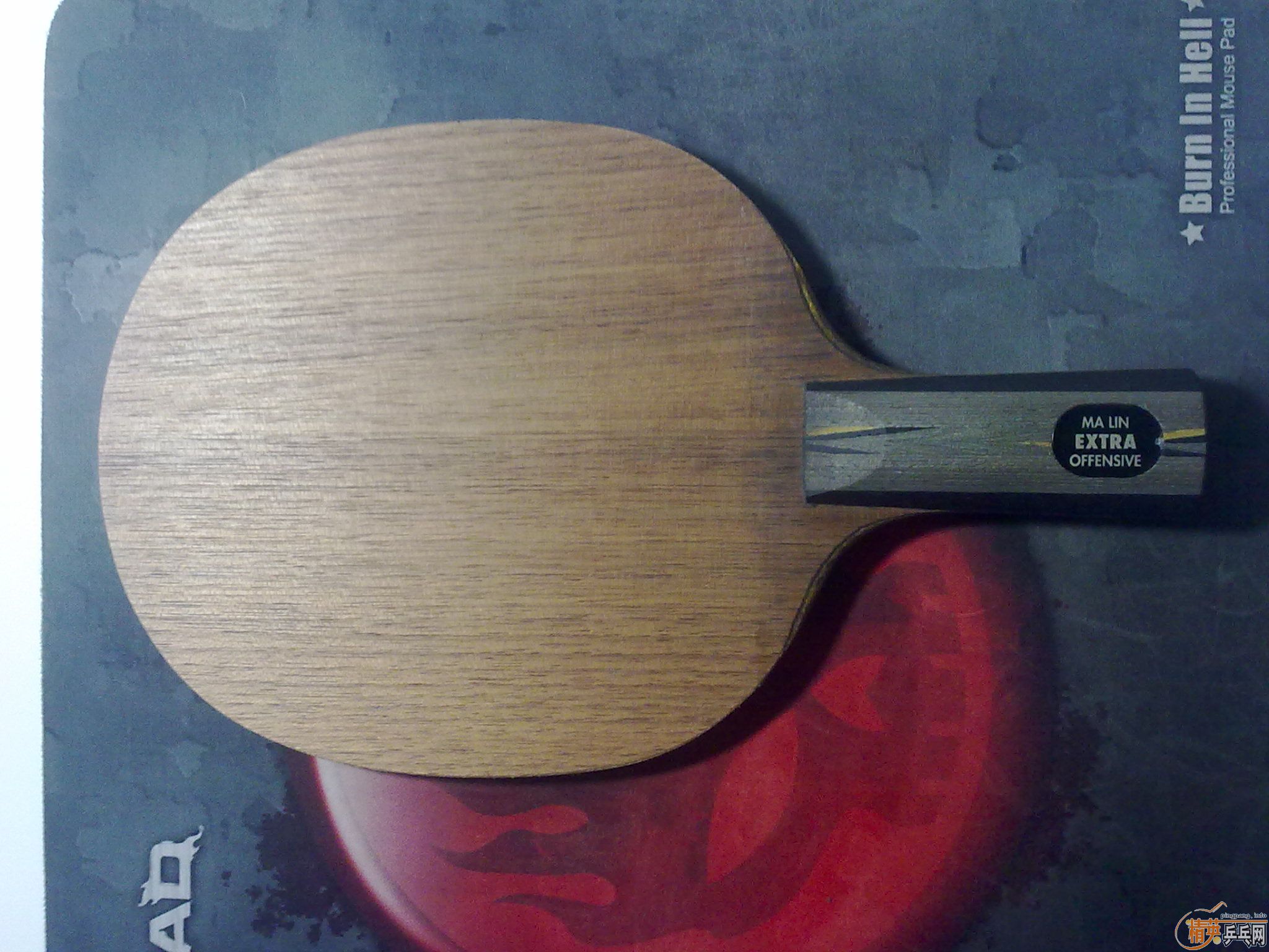 [����]����ͼƬ