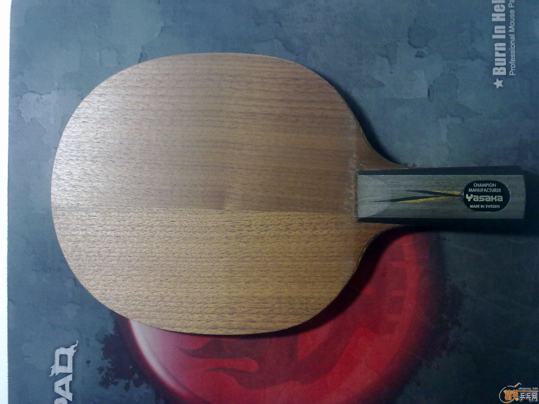 [����]����ͼƬ