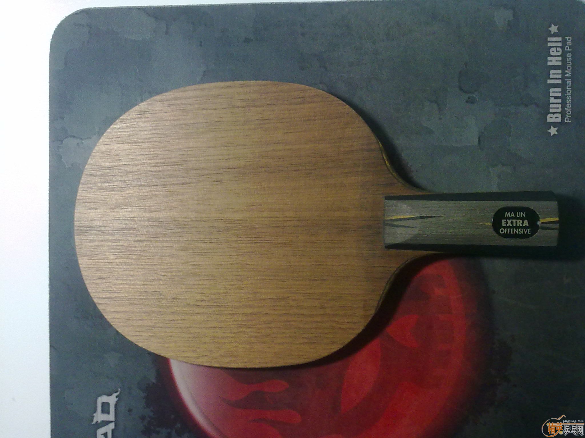 [����]����ͼƬ