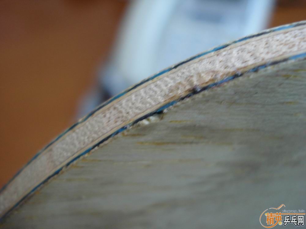 �����ѳ�vis .30041��֧������