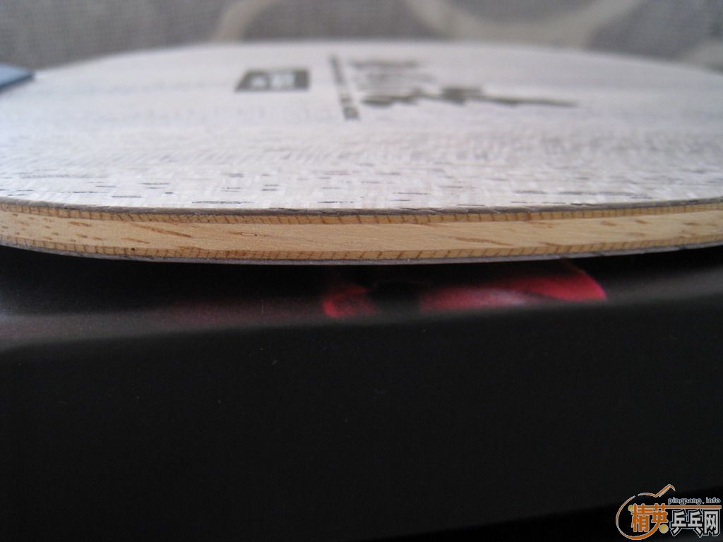 ��һֻ����