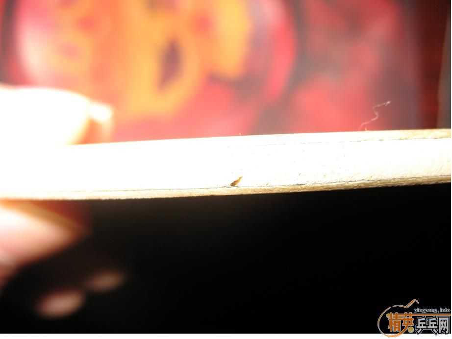 ʵ��깺�����覴õ�YSC ������