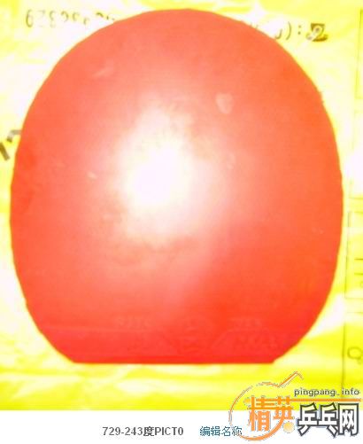 �ͼ۳�729��ɫ����������º�ɫ����