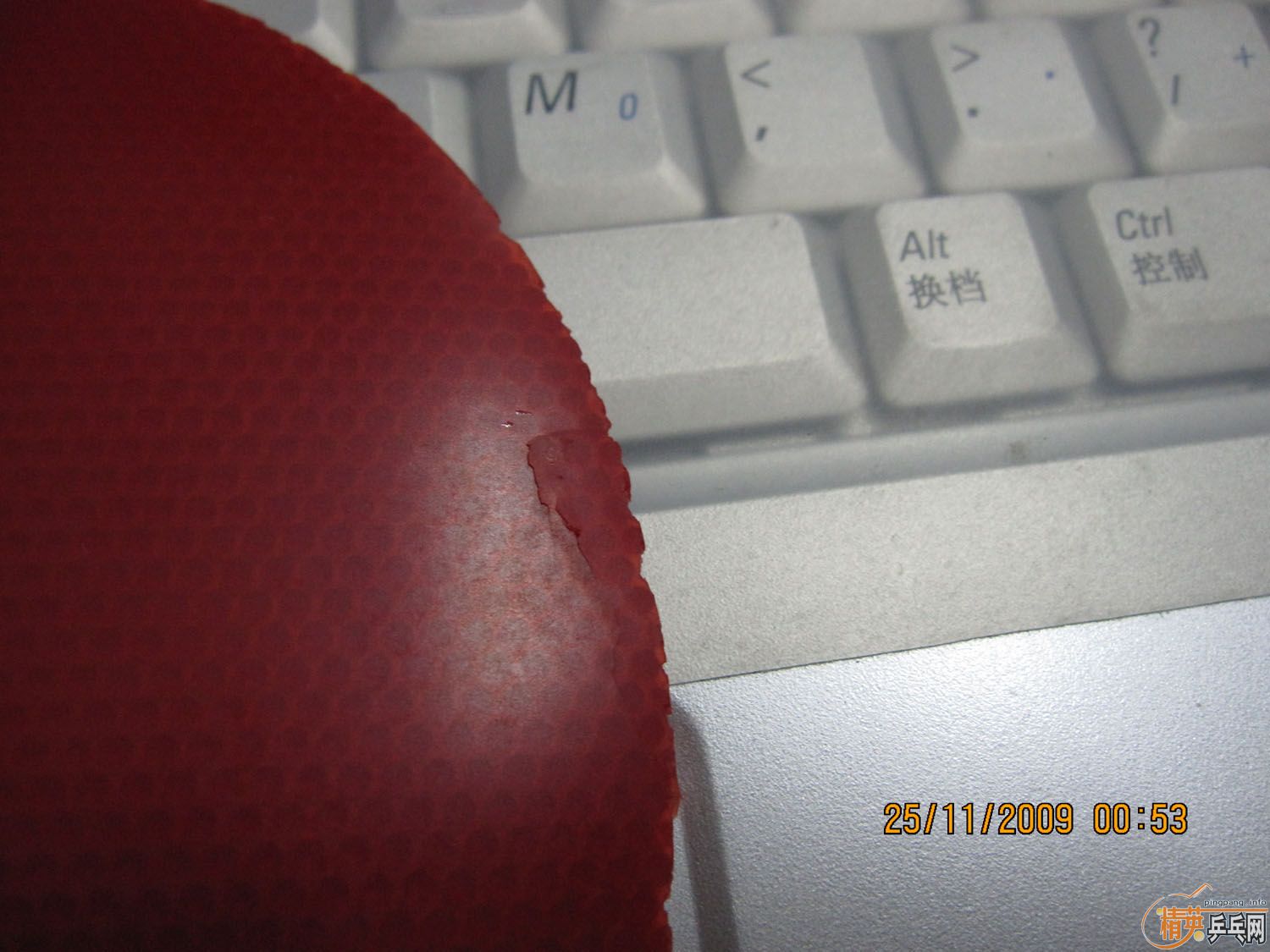 ������HAMMONDPROA.�����档100���졣